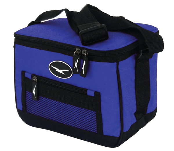 Cooler Bag for medical evidence collection